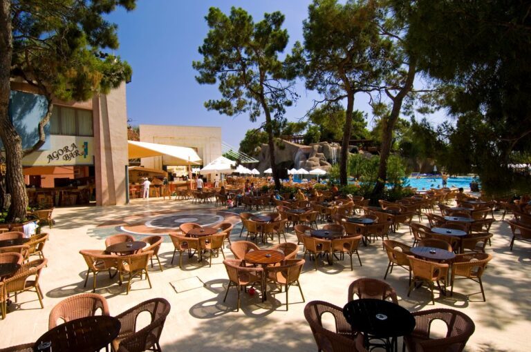 447bb323-b133-4dd7-b774-c955343edd54