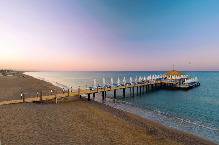 6bad59fe-4f76-406f-a221-4dfa9e0d533b