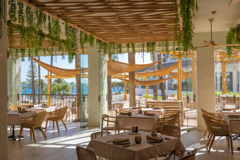 MAAM CONSCIOUS MARKET