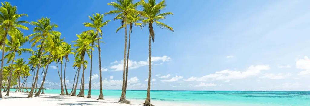 Karibischer Strand in der Dominikanischen Republik