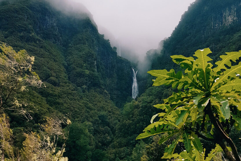 Naturschutzgebiet Rabaçal auf Madeira