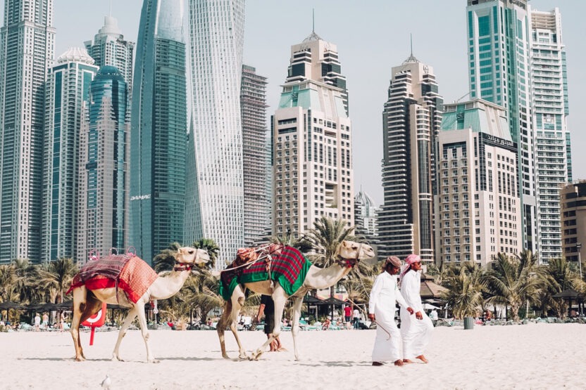 Kamele am Strand vor der Skyline von Dubai