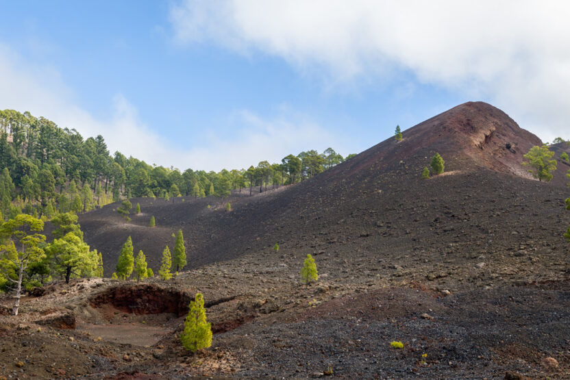 Lavalandschaft im Nationalpark Teide auf Teneriffa