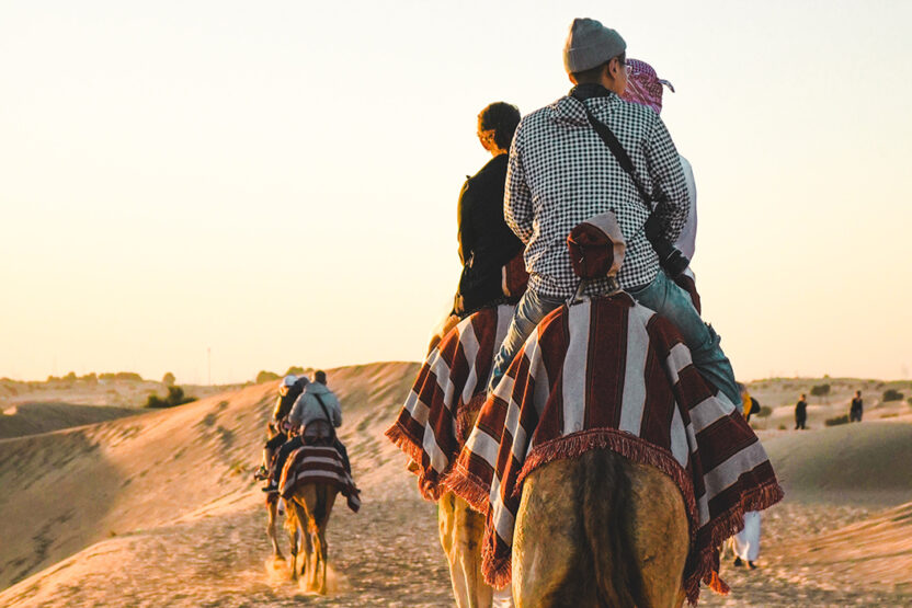 Unser Tipp: Wüstensafari