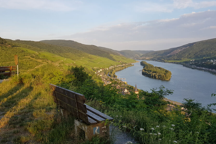 Rheingau in Hessen