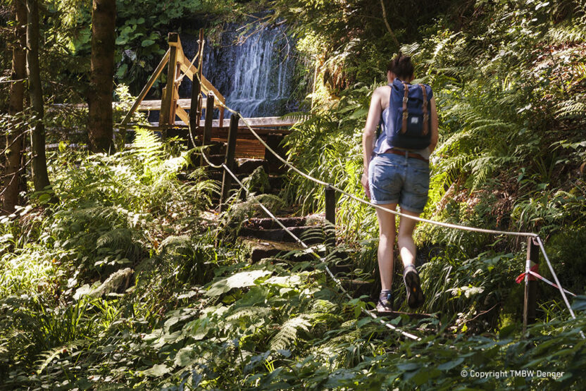 Schwarzwald-Trekking -Teil des Sankenbachwasserfalls auf der Etappe Kniebis nach Gutellbach