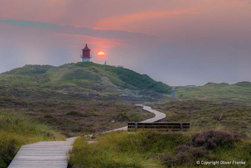 Amrum