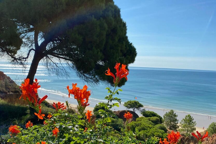 Urlaub an der Küste Portugals