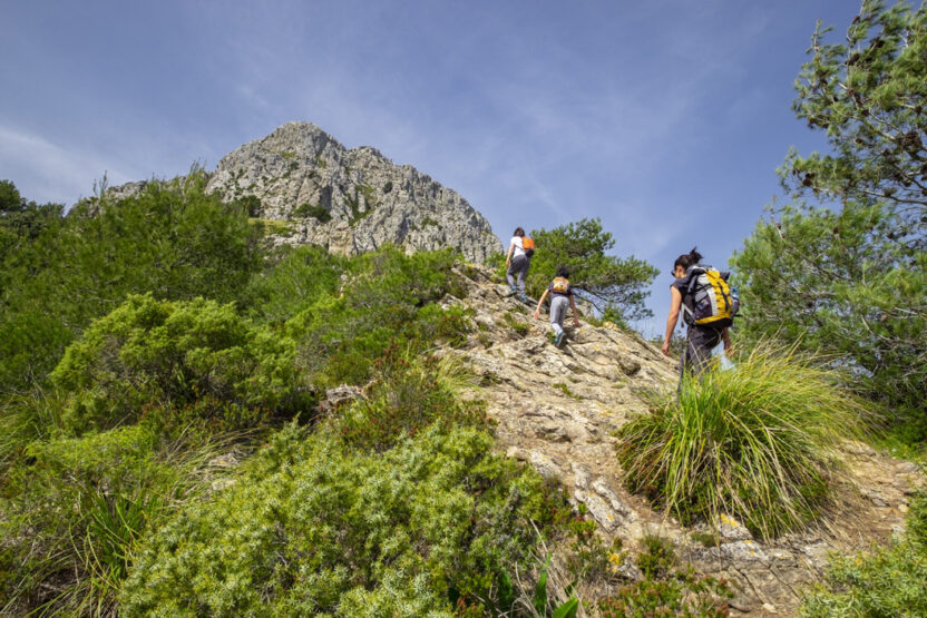 Auf dem Puig de Galatzó