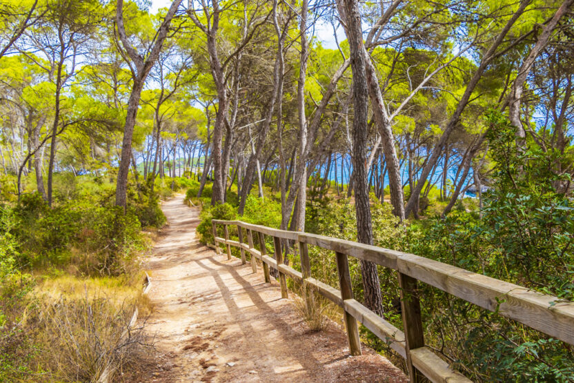 Parc Natural Cala Mondragó