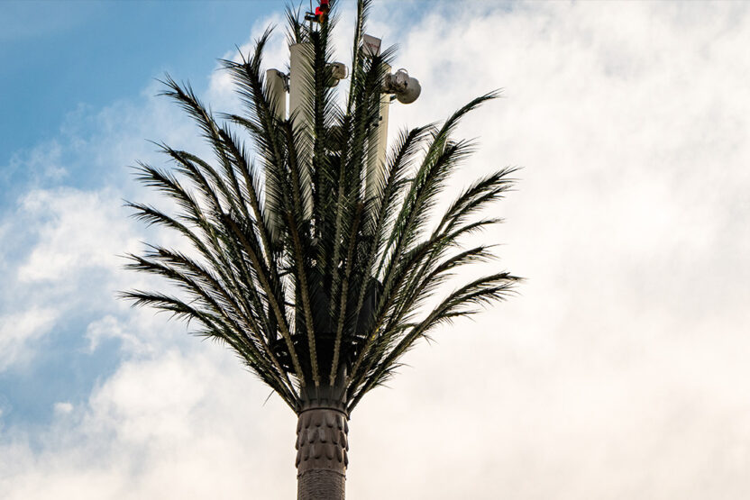 Telefonmast als Palme umfunktioniert