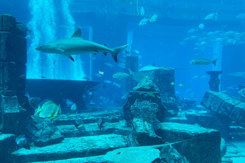 Das Hotel Atlantis Aquarium